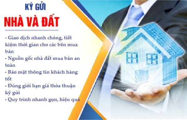 Thủ Tục Cấp Giấy Chứng Nhận Lần Đầu