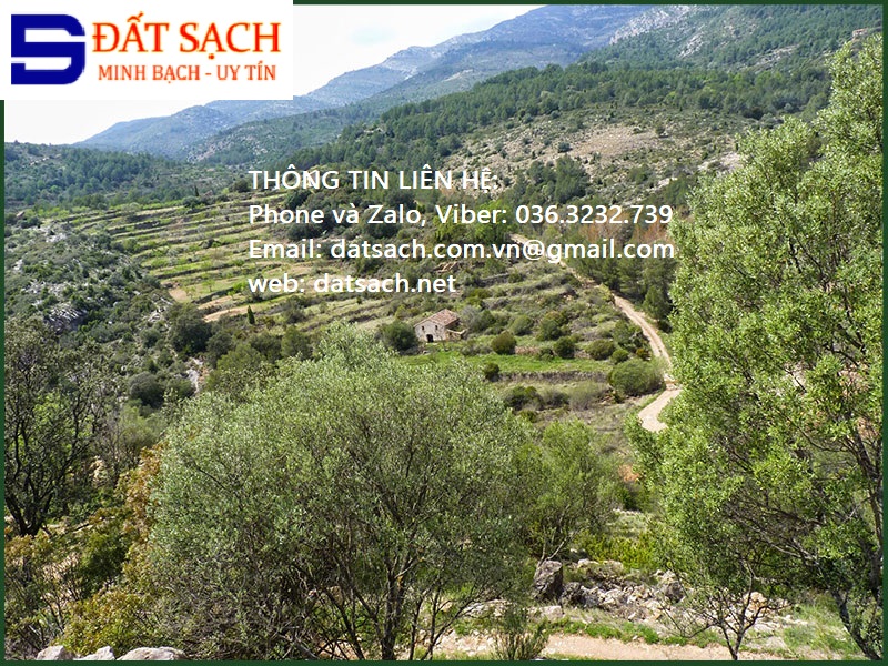 BẢNG GIÁ DỊCH VỤ PHÁP LÝ NHÀ ĐẤT CỦA ĐẤT SẠCH