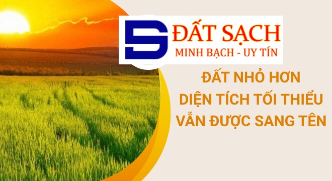 Mất sổ đỏ có xin cấp lại được không?