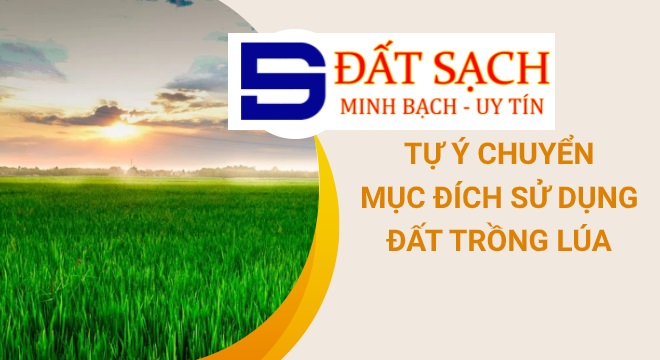 Mất sổ đỏ có được cấp lại hay không?