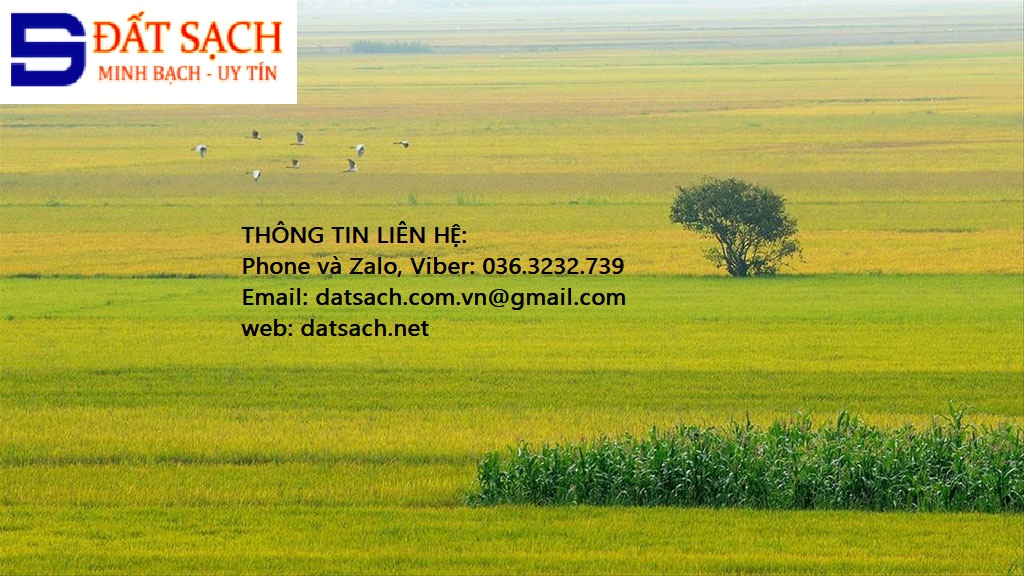 Đất bao nhiêu m2 thì được tách sổ đỏ?
