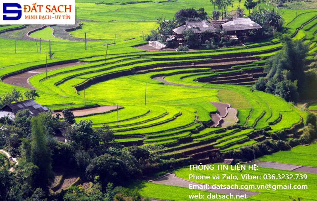 Hướng dẫn thủ tục chuyển đổi đất canh tác sang đất thổ cư