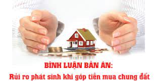 Phải làm gì khi góp tiền mua đất chung nhưng không tách thửa được?