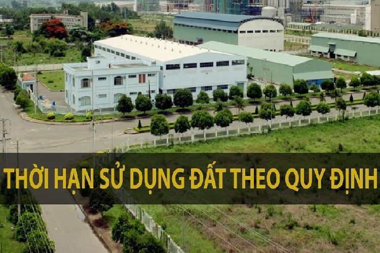 ĐẤT ĐAI KHÔNG SỬ DỤNG THƯỜNG XUYÊN TRONG THỜI GIAN BAO LÂU THÌ BỊ THU HỒI?