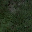GIÁO TRÌNH PHẦN MỀM QGIS VÀ ỨNG DỤNG TRONG QUẢN LÝ CƠ SỞ DỮ LIỆU, THÀNH LẬP BẢN ĐỒ HIỆN TRẠNG TÀI NGUYÊN RỪNG
