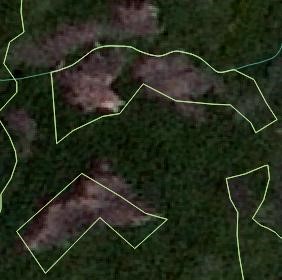 GIÁO TRÌNH PHẦN MỀM QGIS VÀ ỨNG DỤNG TRONG QUẢN LÝ CƠ SỞ DỮ LIỆU, THÀNH LẬP BẢN ĐỒ HIỆN TRẠNG TÀI NGUYÊN RỪNG