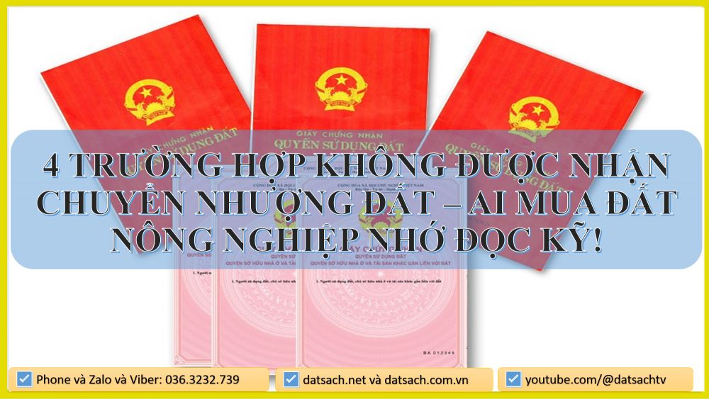 4 Trường Hợp Không Được Nhận Chuyển Nhượng Đất – Ai Mua Đất Nông Nghiệp Nhớ Đọc Kỹ!